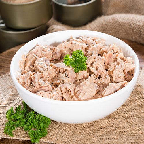 Balık İshal Yapar Mı? Balık Yağı Rehberi
