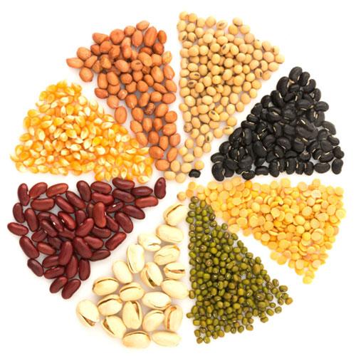 Bitkisel Proteinler Hangileridir? Bitkisel Proteinlerin Faydaları Nelerdir?