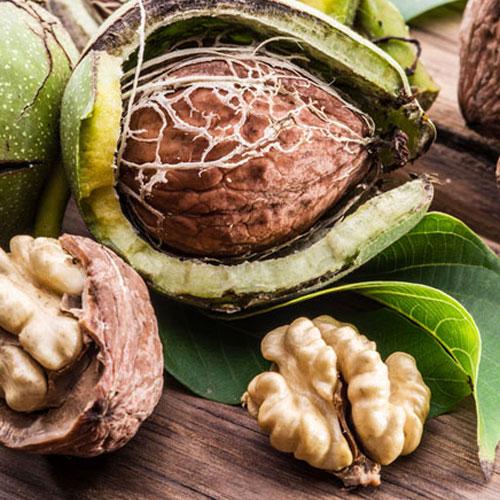 Cevizde Karbonhidrat Var Mıdır? Ceviz Besin Değerleri