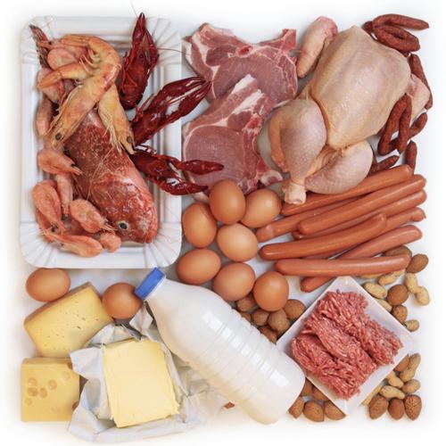 Hayvansal Proteinler Nelerdir? Hayvansal Proteinler Hakkında Detaylı Bilgiler
