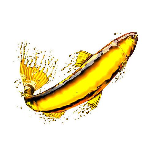 Omega 3 Ne Zaman Alınmalıdır? Omega 3 Kullanım Rehberi