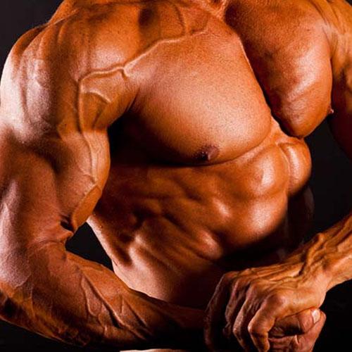 Protein Fazlalığı Nedir? Protein Fazlalığının Nedenleri Nelerdir?