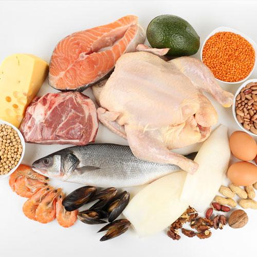 Protein Hangi Besinlerde Bulunur