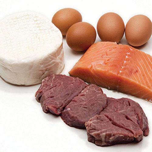 Protein Nelerde Var?