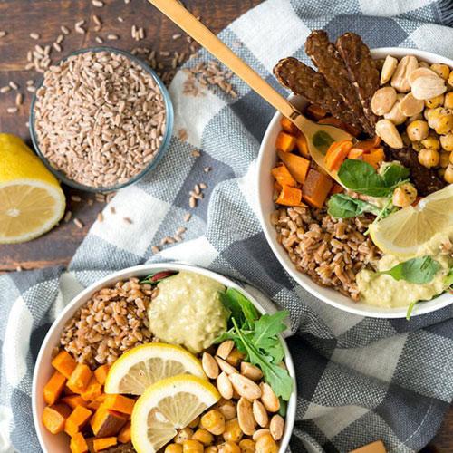 Protein Parçalanması Nasıl Olur?