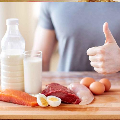 Protein Sentezi Nedir? Protein Sentezi Nasıl Artar?