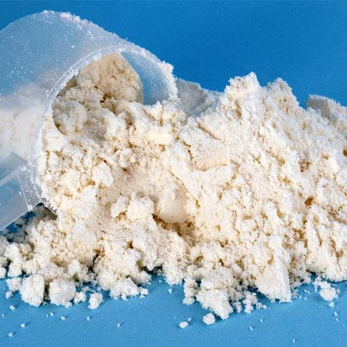 Protein Tozu Yapımı Rehberi