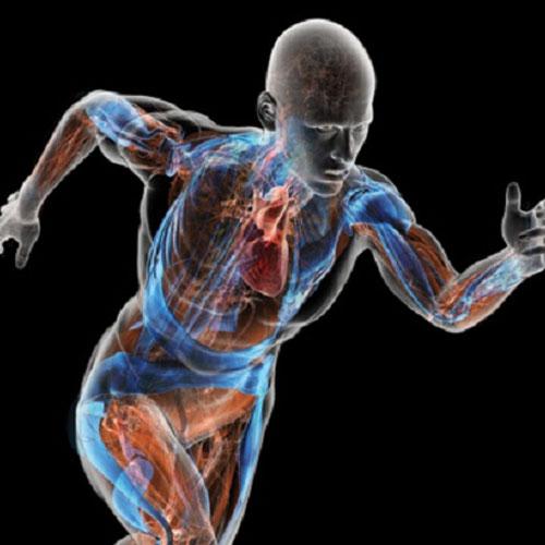Proteinlerin Sindirimi Hakkında Bilinmesi Gerekenler Nelerdir?
