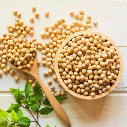 Soya Proteini Nedir? Hangi Besinlerde Bulunur?