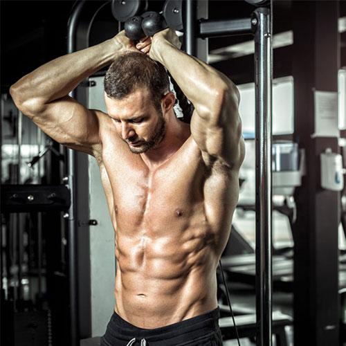 Vücut Geliştirme Ve Protein İlişkisi Nasıldır?