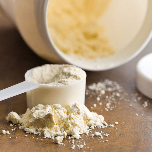 Whey Protein Tozu Kilo Aldırır mı? Whey Protein Bilgileri
