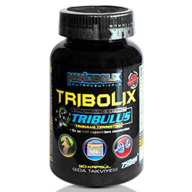 Nanobolix Tribolix Tribulus 90 Kapsül